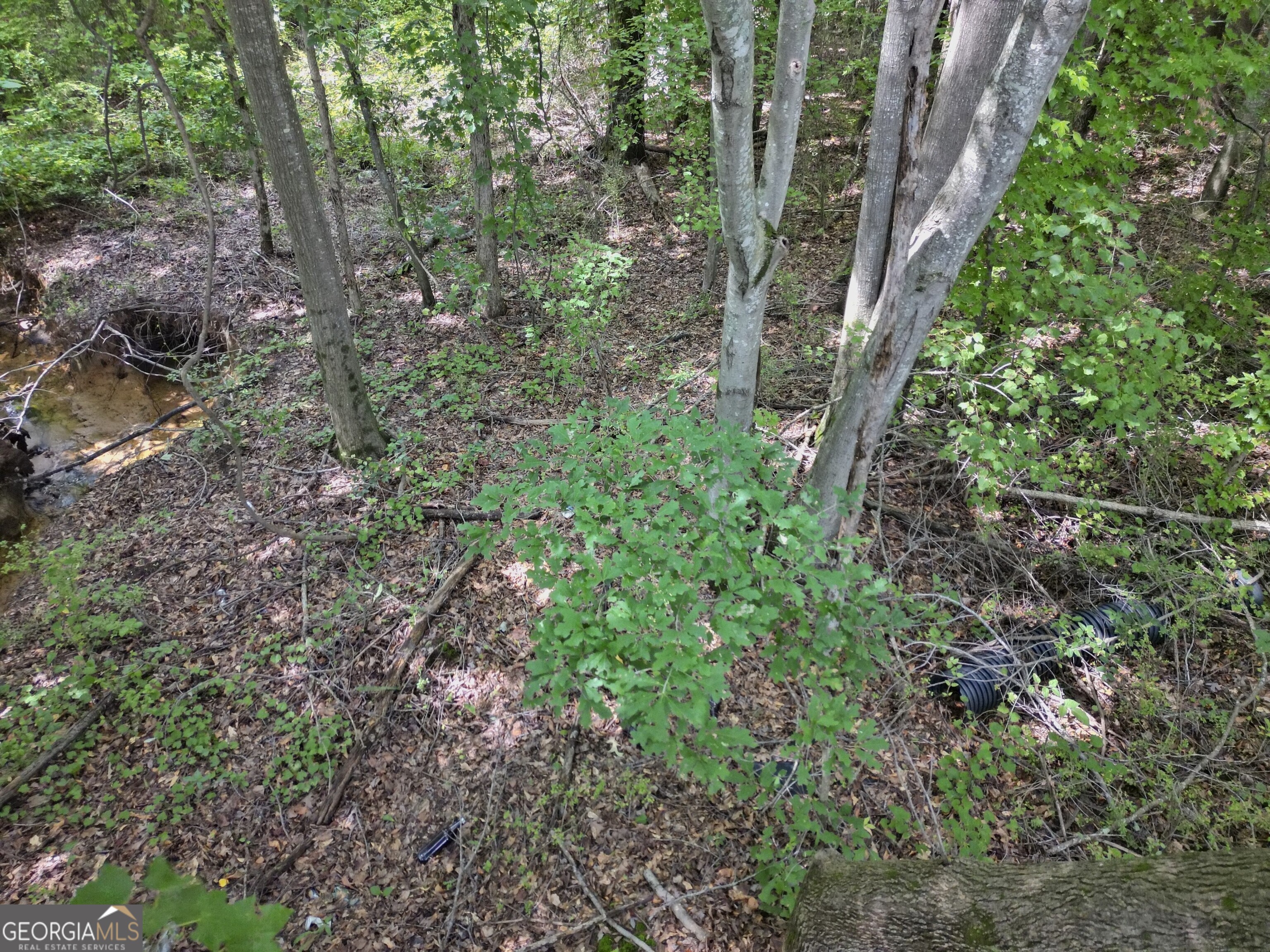 2095 Sigman Road Northwest Conyers, GA 30012 - Photo 7 of 11 a view of a large yard with lots of green space