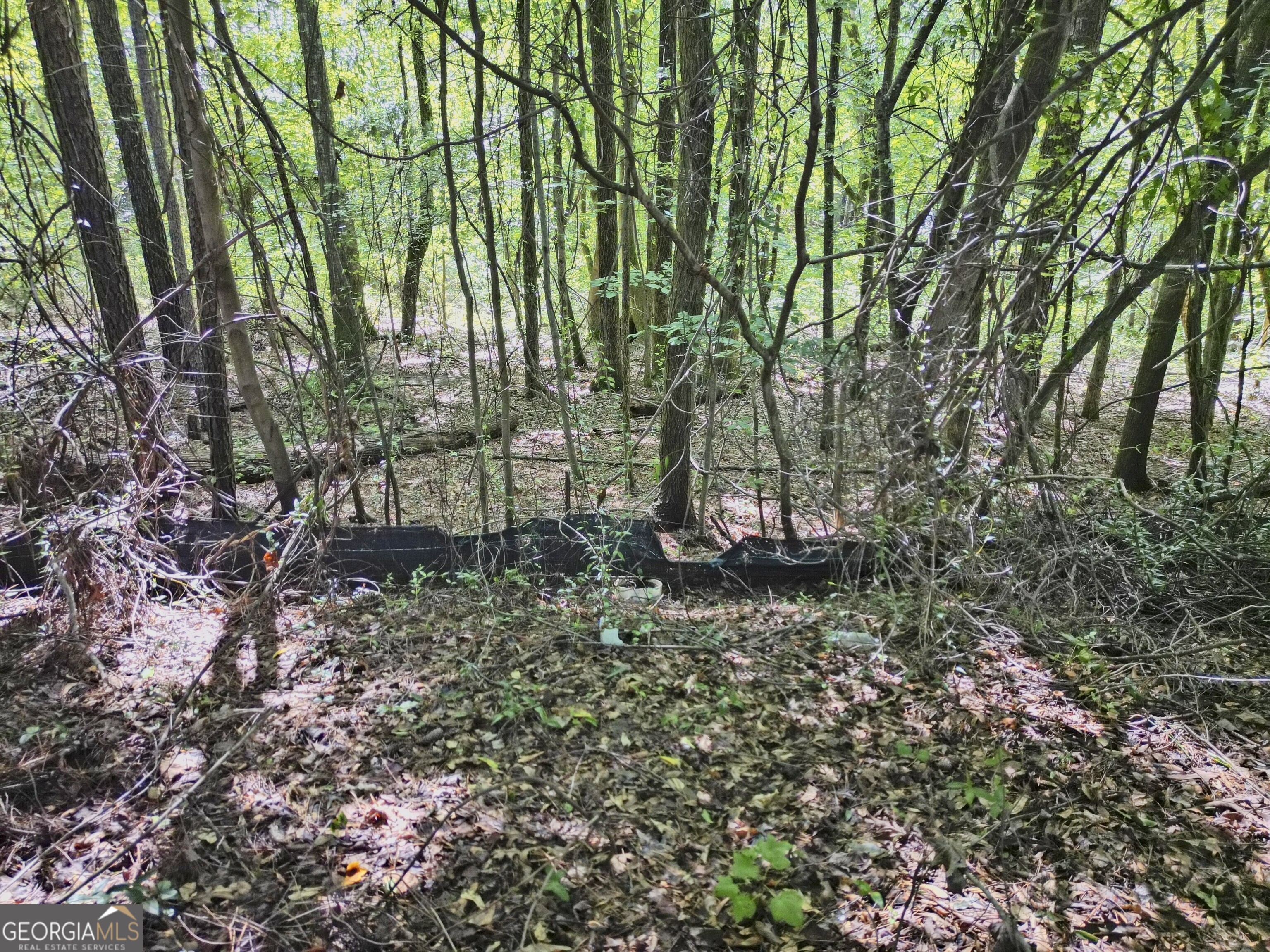 2095 Sigman Road Northwest Conyers, GA 30012 - Photo 8 of 11 a view of outdoor space and yard