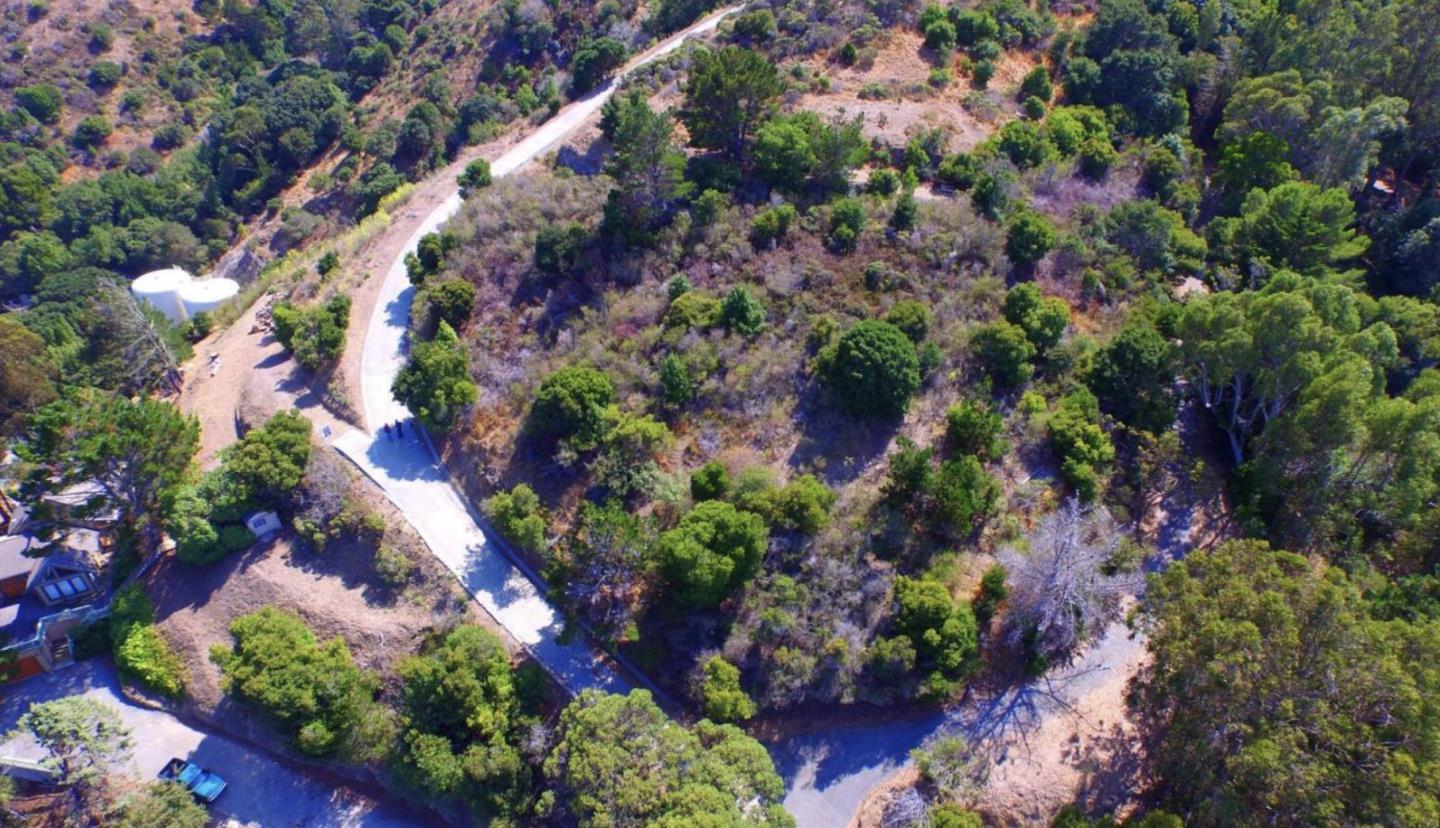0 Beatrice Road Brisbane, CA 94005 - Photo 5 of 7 a view of a bunch of flowers