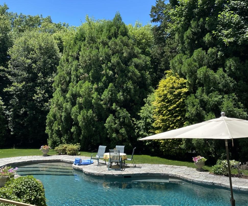 70 Leeuwarden Road Darien, CT 06820 - Photo 10 of 33 Pool