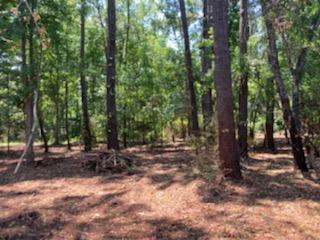 1040 Ben Road Charleston, SC 29412 - Photo 1 of 17 IMG952779(1)