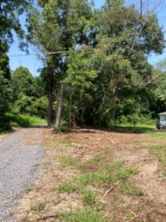 1040 Ben Road Charleston, SC 29412 - Photo 15 of 17 IMG952774