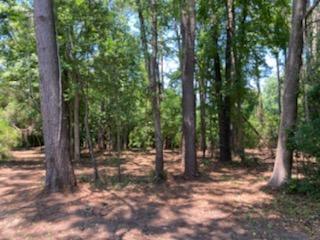 1040 Ben Road Charleston, SC 29412 - Photo 17 of 17 IMG952776