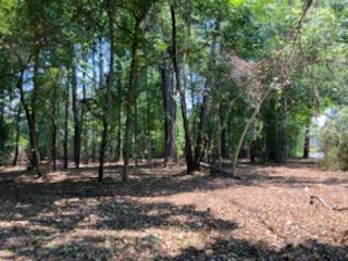 1040 Ben Road Charleston, SC 29412 - Photo 2 of 17 IMG952780