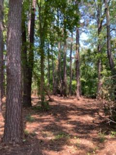 1040 Ben Road Charleston, SC 29412 - Photo 3 of 17 IMG952777