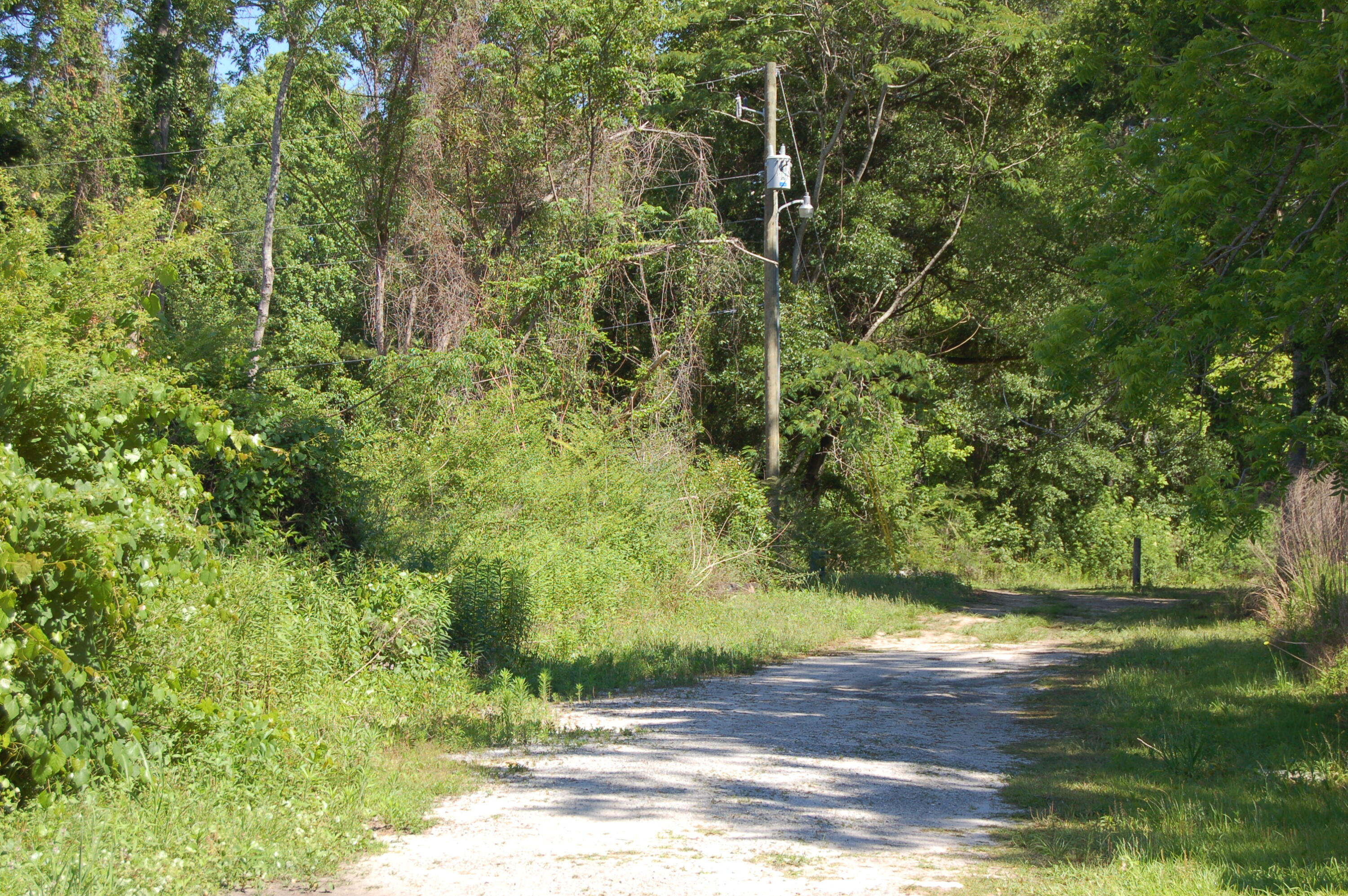 1040 Ben Road Charleston, SC 29412 - Photo 9 of 17 DSC_0010