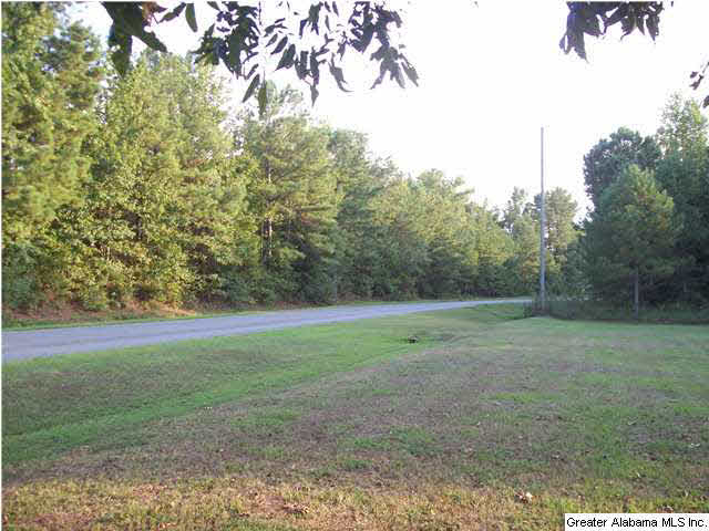 902 County Road 91 Jemison, AL 35085 - Photo 13 of 32