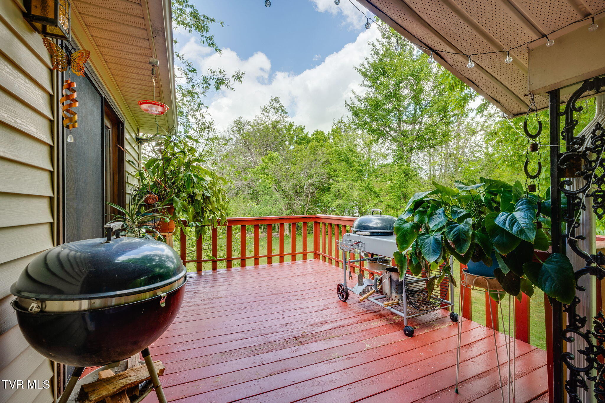 824 Balsam Circle Erwin, TN 37650 - Photo 34 of 36 034