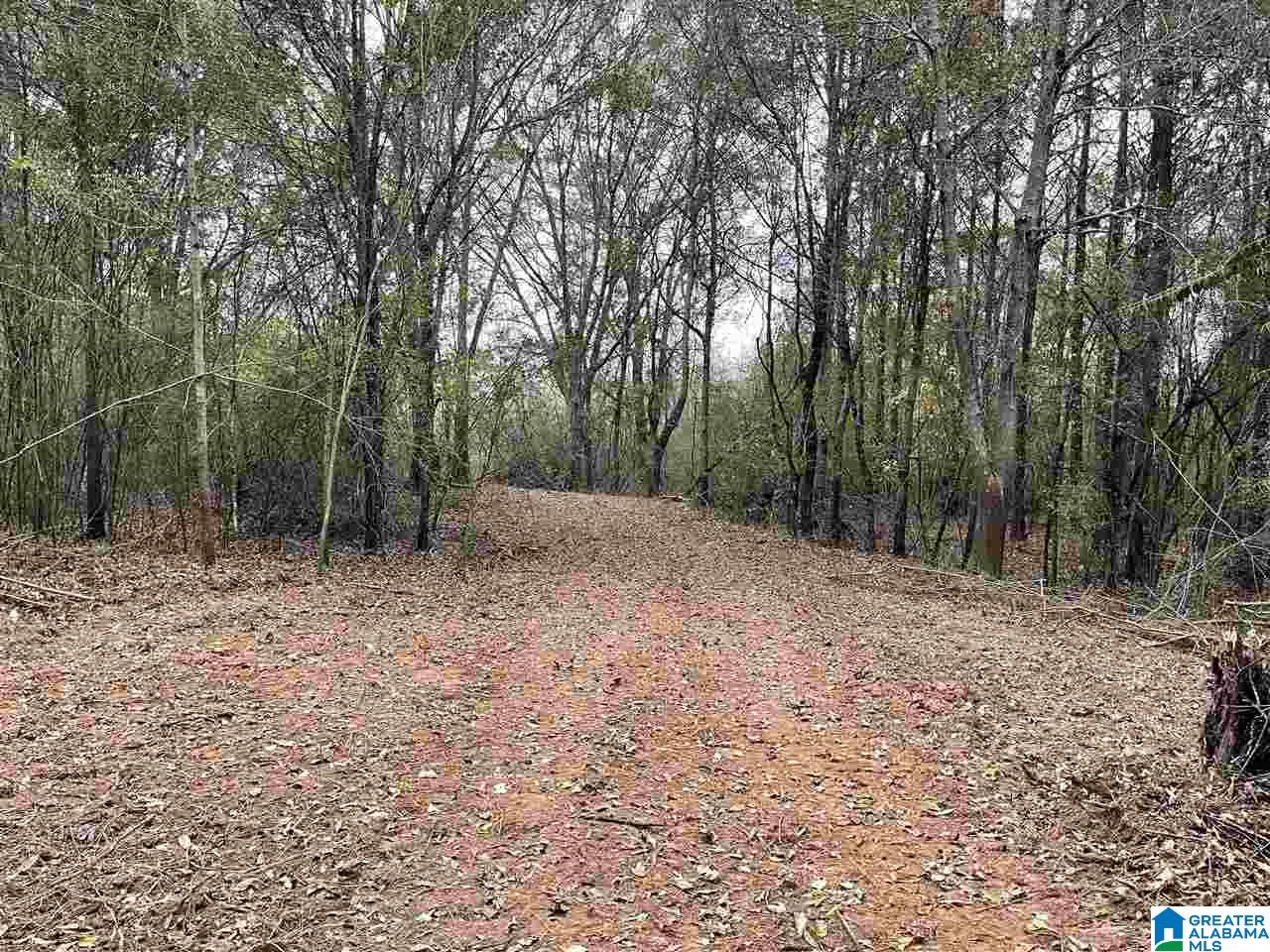 9 Highway 9, Unit 12 Heflin, AL 36264 - Photo 7 of 10