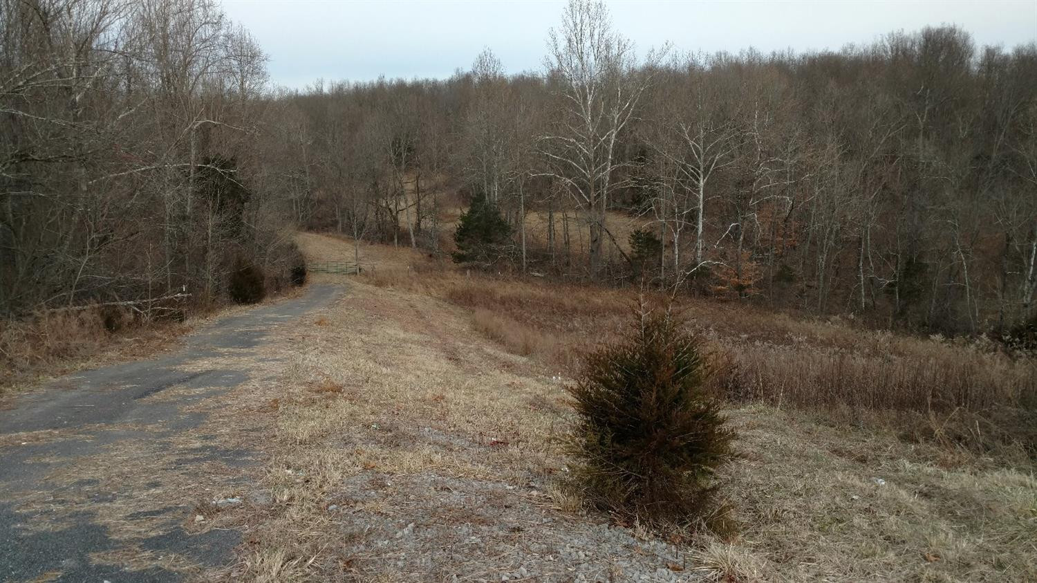 11872 Perryville Road Perryville, KY 40468 - Photo 23 of 33 Photo 24