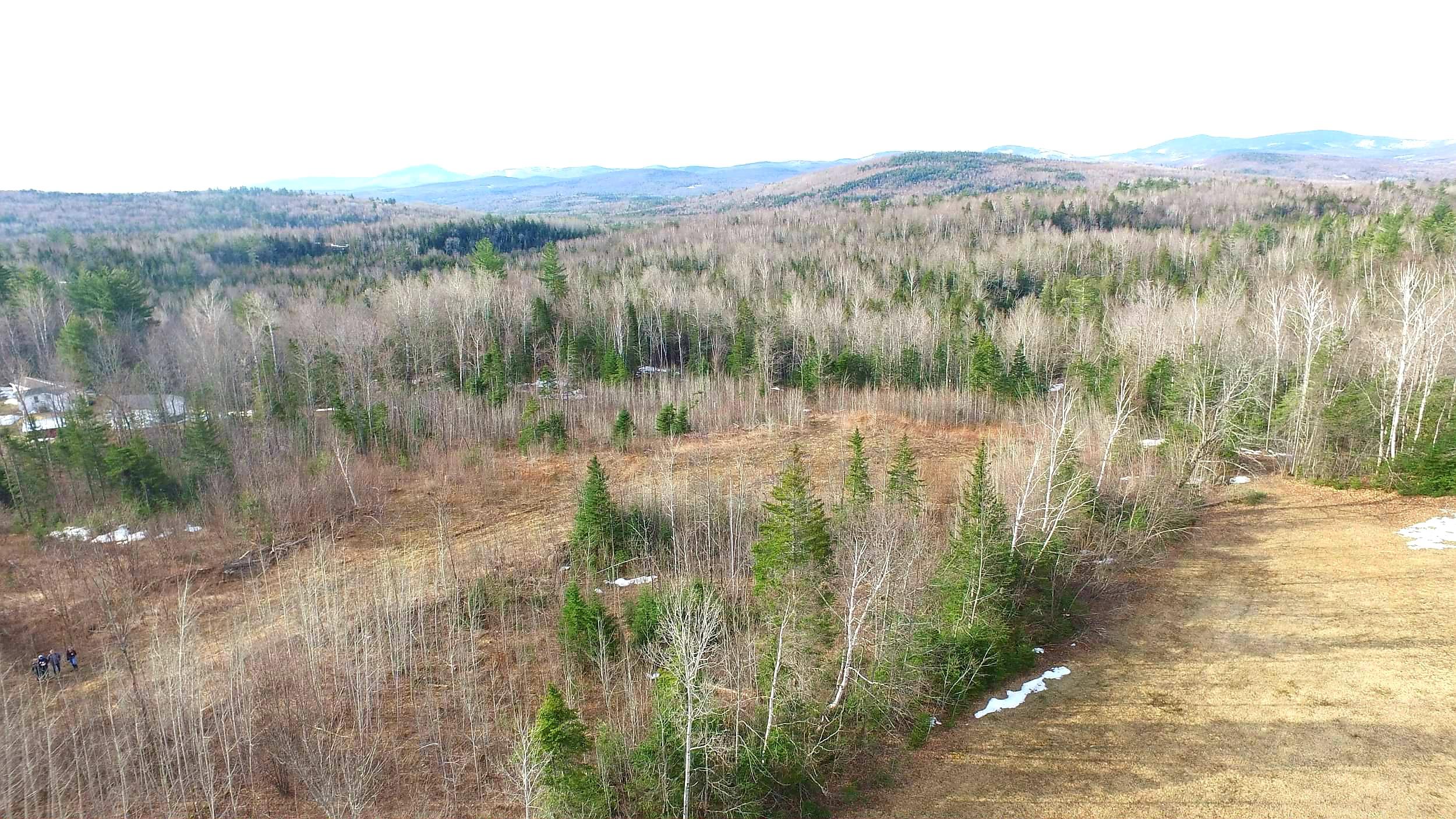Tbd Reed's Mill Road Madrid Township, ME 04966 - Photo 16 of 22 20200427_123656