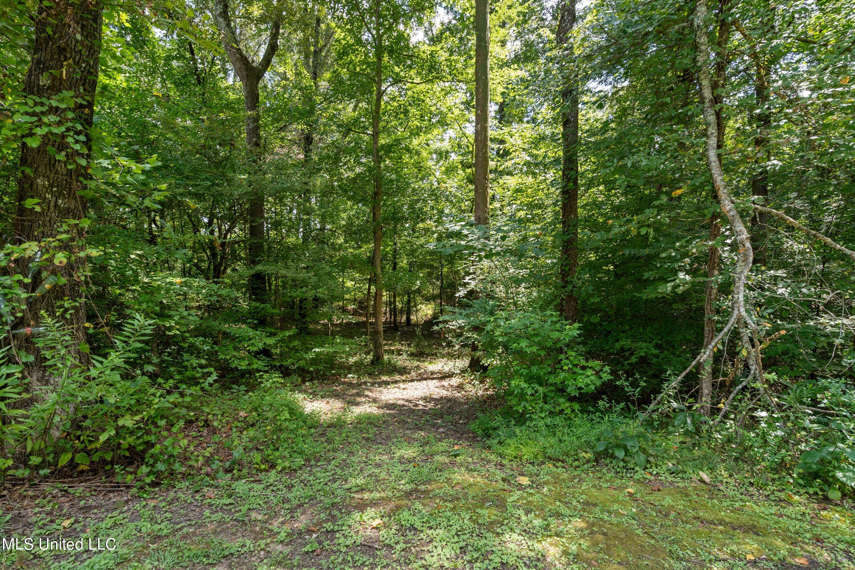 135 Kathleen Road Byhalia, MS 38611 - Photo 26 of 34 25-DSC2419