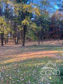 45 Old Story Road Leeds, NY 12451 - Photo 5 of 16 Photo 5