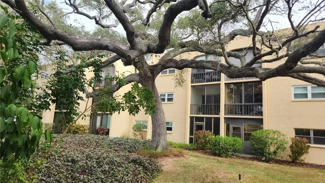 a front view of a house with a tree