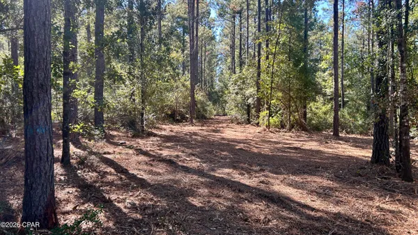 $49,900 | K K 147th Highway, Laurel Hill, FL 32567