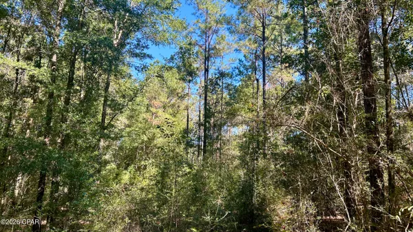 $49,900 | K K 147th Highway, Laurel Hill, FL 32567