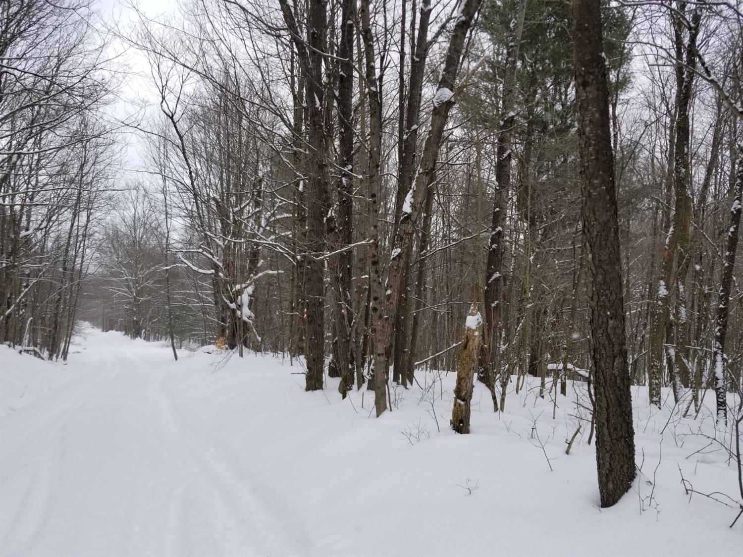 697 Lena Road Mount Vision, NY 13810 - Photo 1 of 1