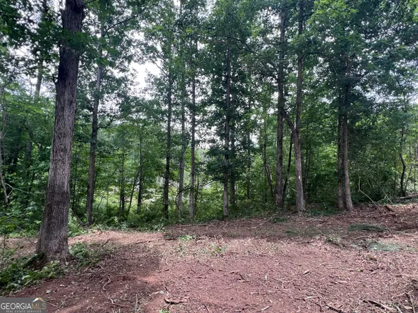 $169,900 | 0 Bethlehem Church Road, Grantville, GA 30220