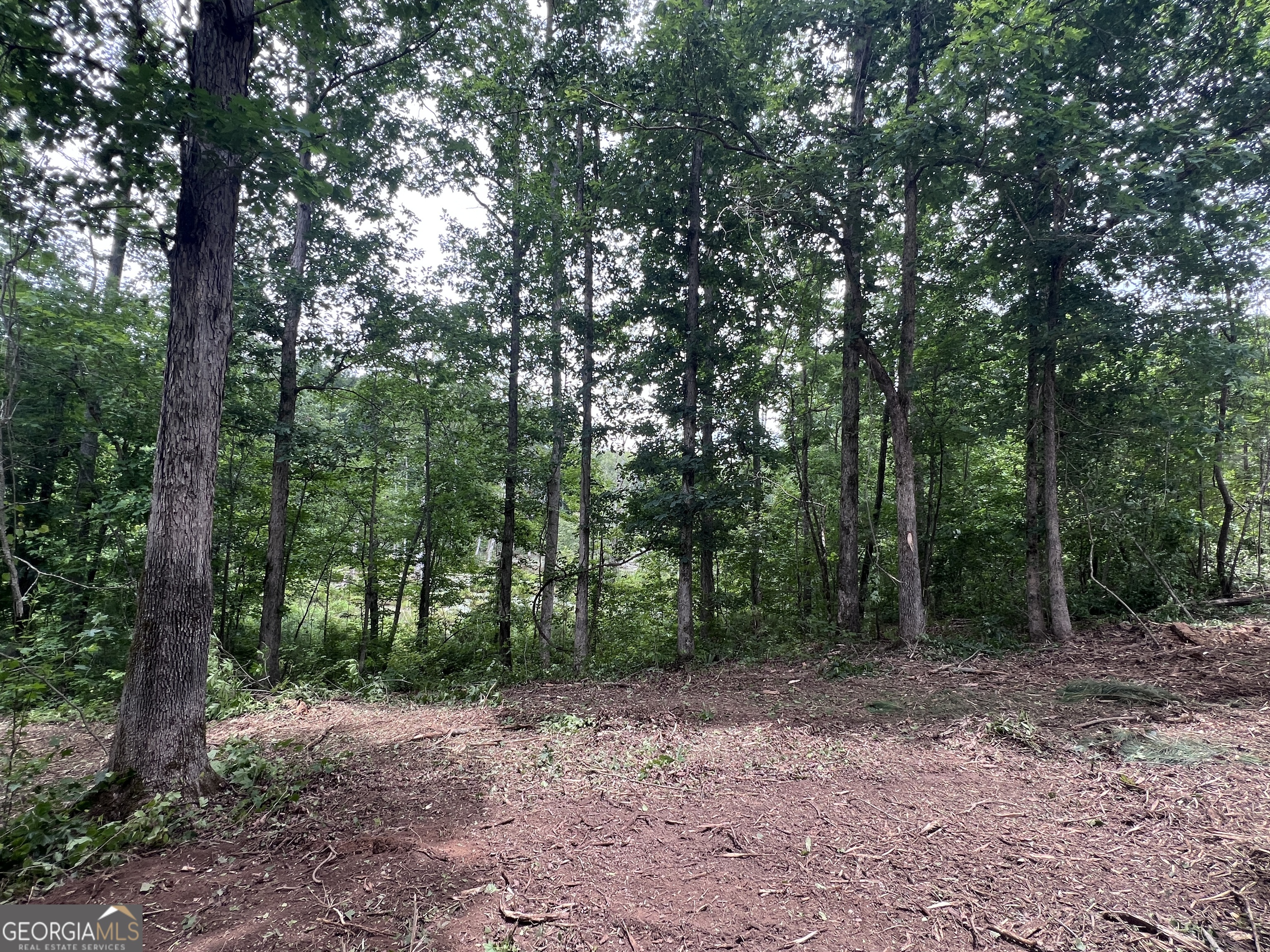 0 Bethlehem Church Road Grantville, GA 30220 - Photo 1 of 22