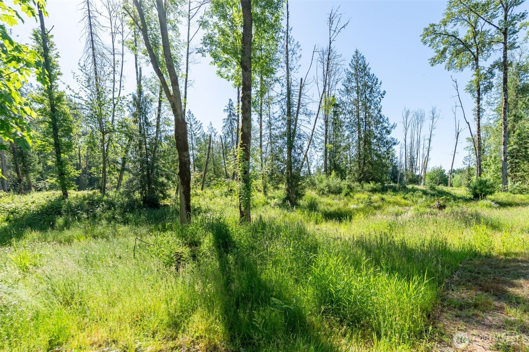 0 Chilvers Road Chehalis, WA 98532 - Photo 25 of 40