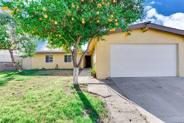 a view of a backyard with a tree