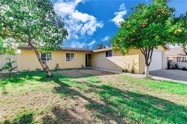a view of a house with yard and a tree