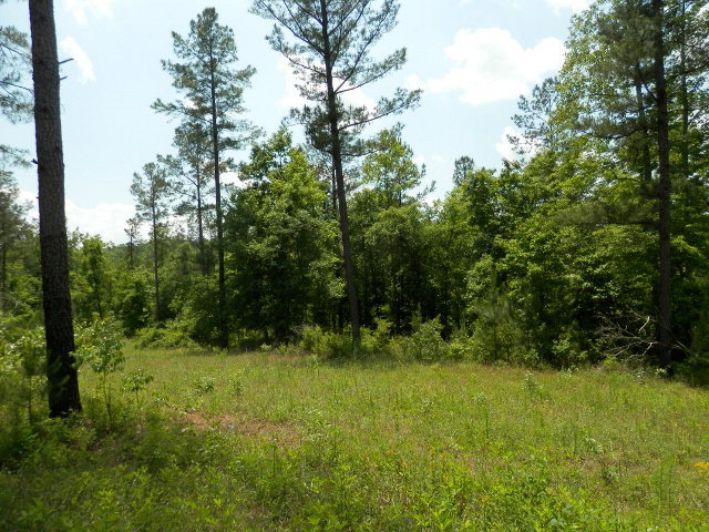 0 Grady Pennamon Road Thomaston, GA 30286 - Photo 1 of 1 Primary Photo