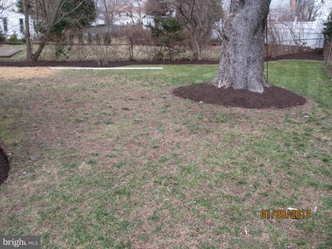 2801 Sheraton Street Silver Spring, MD 20906 - Photo 4 of 15 a view of a yard
