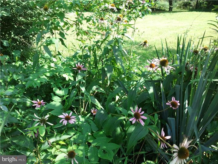 114 Good Hope Road Landenberg, PA 19350 - Photo 9 of 25