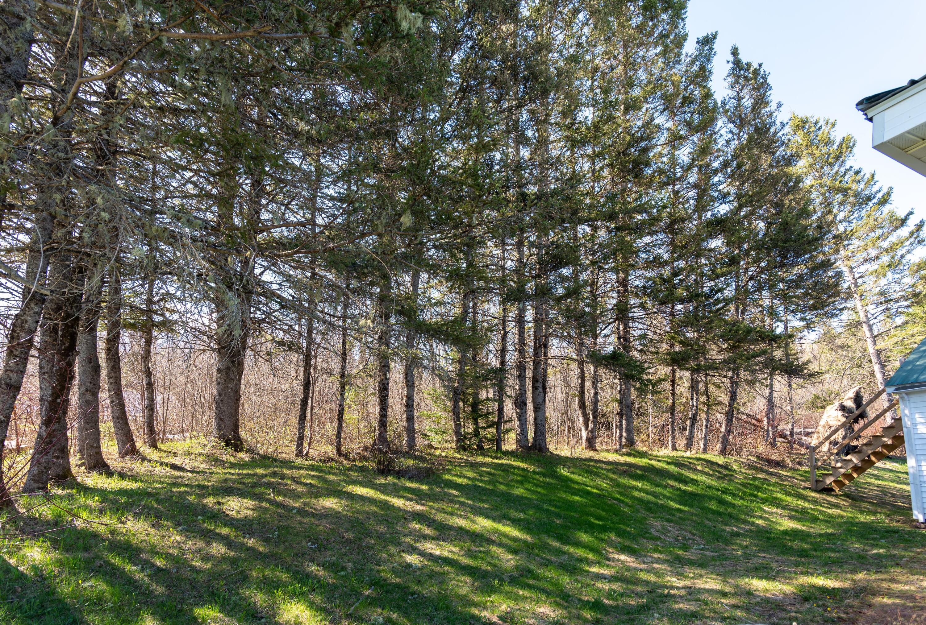 449 Aroostook Road Fort Kent, ME 04743 - Photo 8 of 33 DSC_4664