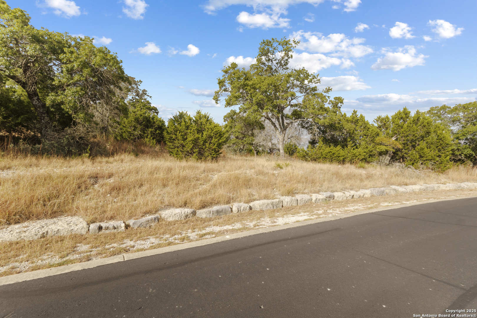 146 Painted Sky Comfort, TX 78013 - Photo 11 of 15 a view of a lake view