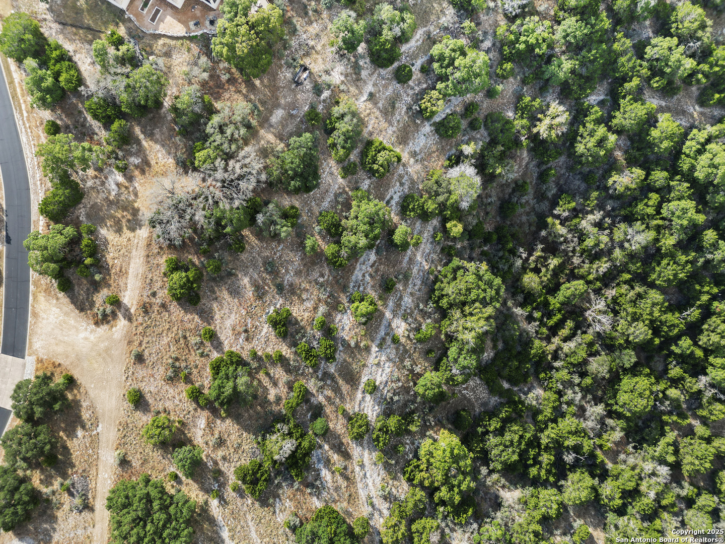 146 Painted Sky Comfort, TX 78013 - Photo 6 of 15 a view of a tree
