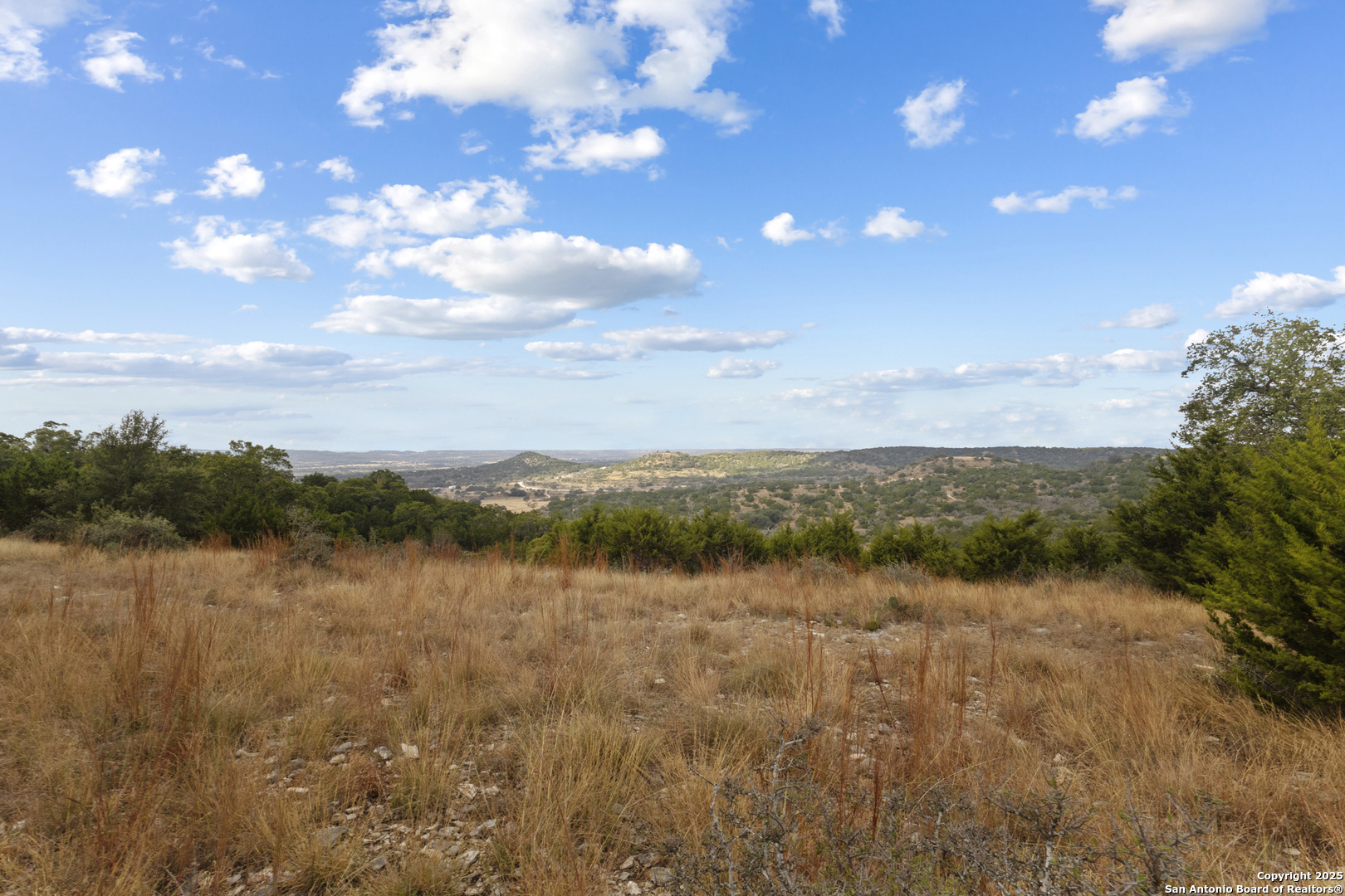 146 Painted Sky Comfort, TX 78013 - Photo 9 of 15 a view of lake with green space