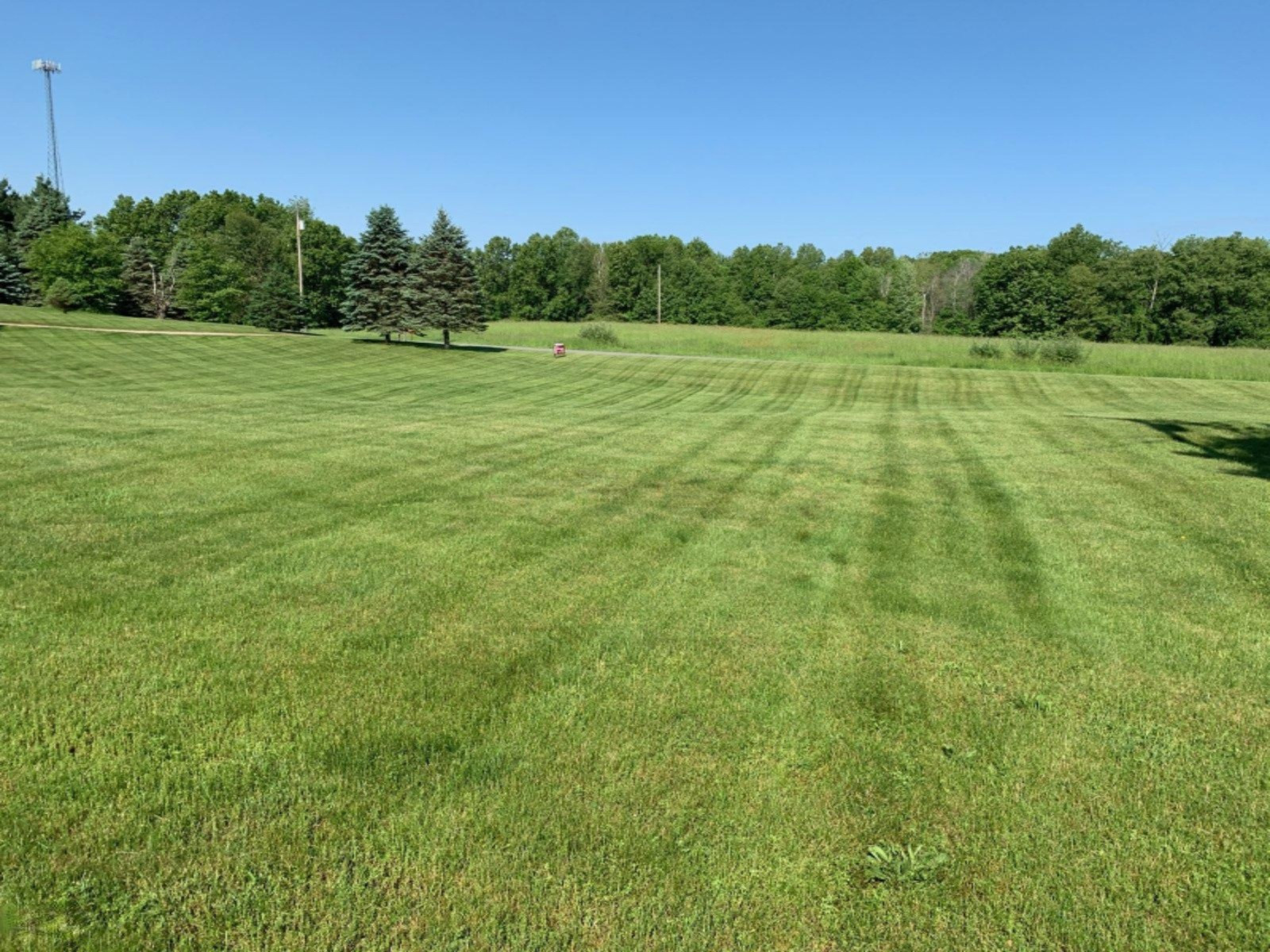 22520 Ackley Road Bellevue, MI 49021 - Photo 8 of 45 581177402
