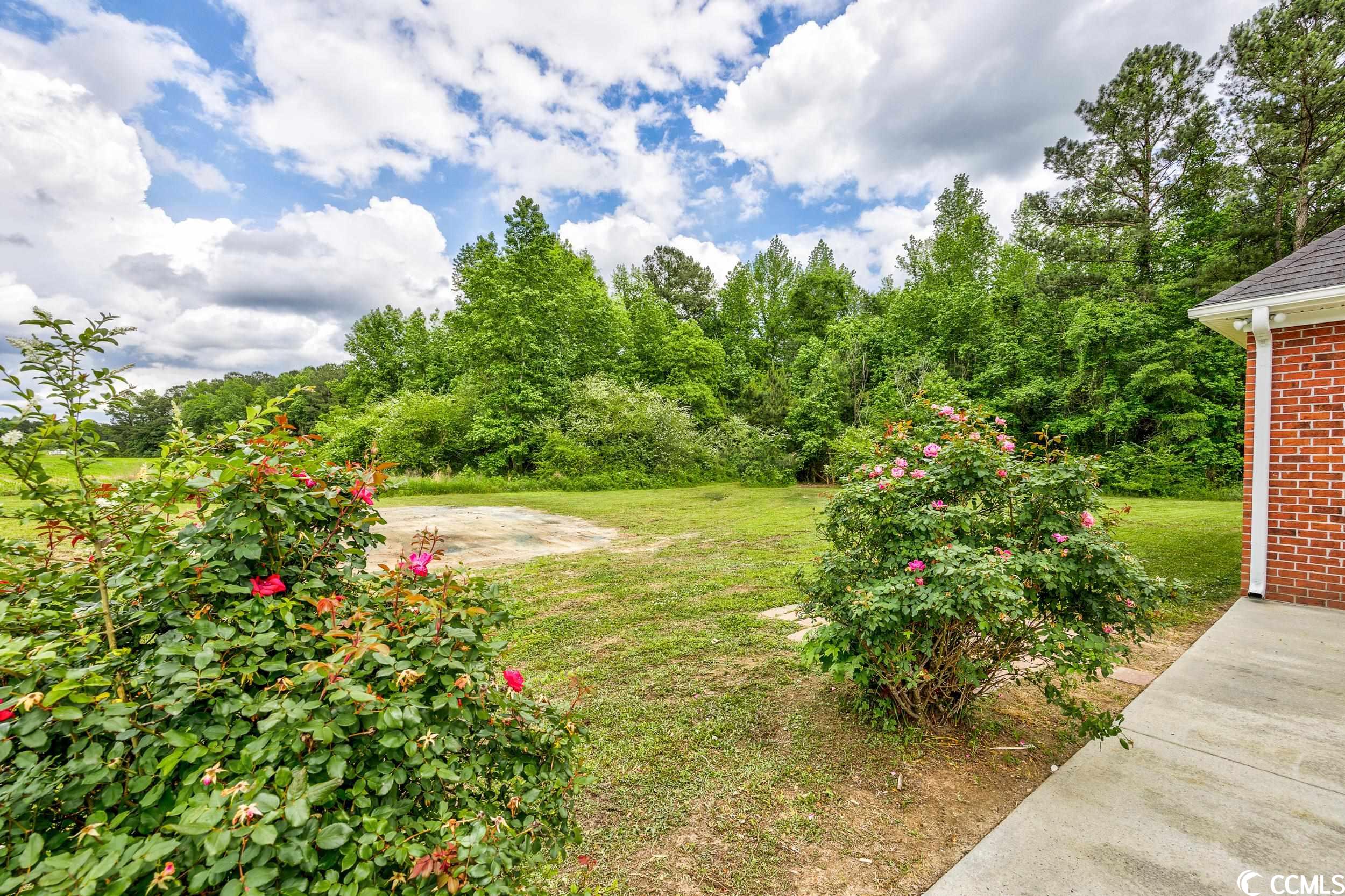 3772 Still Pond Road Conway, SC 29526 - Photo 30 of 35 Gallery Image 30