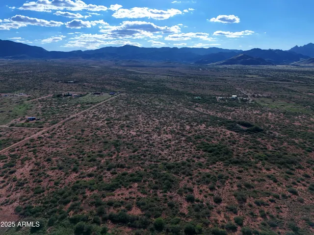 a view of a forest with a yard