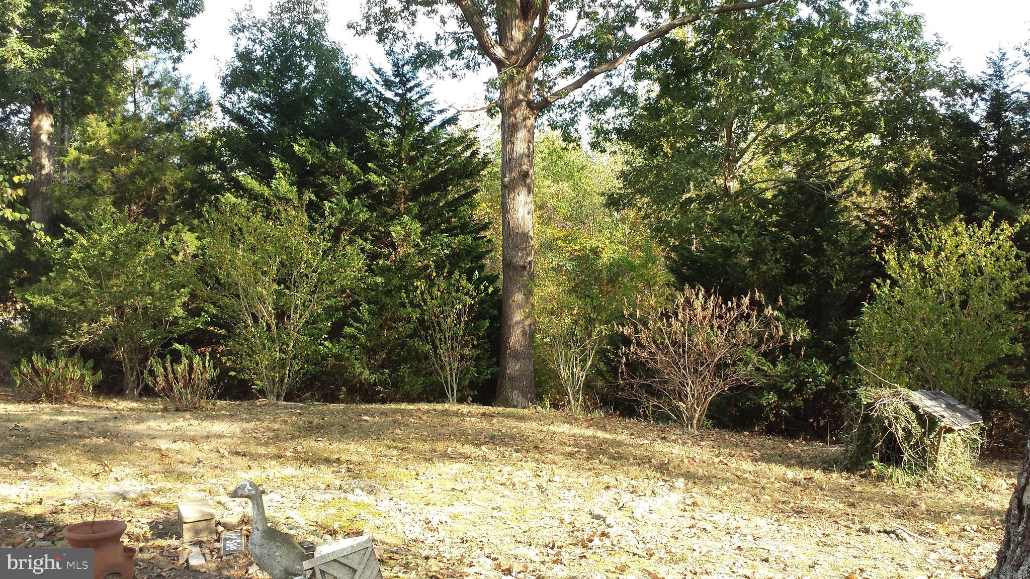 24206 Ruther Glen Road Ruther Glen, VA 22546 - Photo 24 of 52 Gallery Image 24