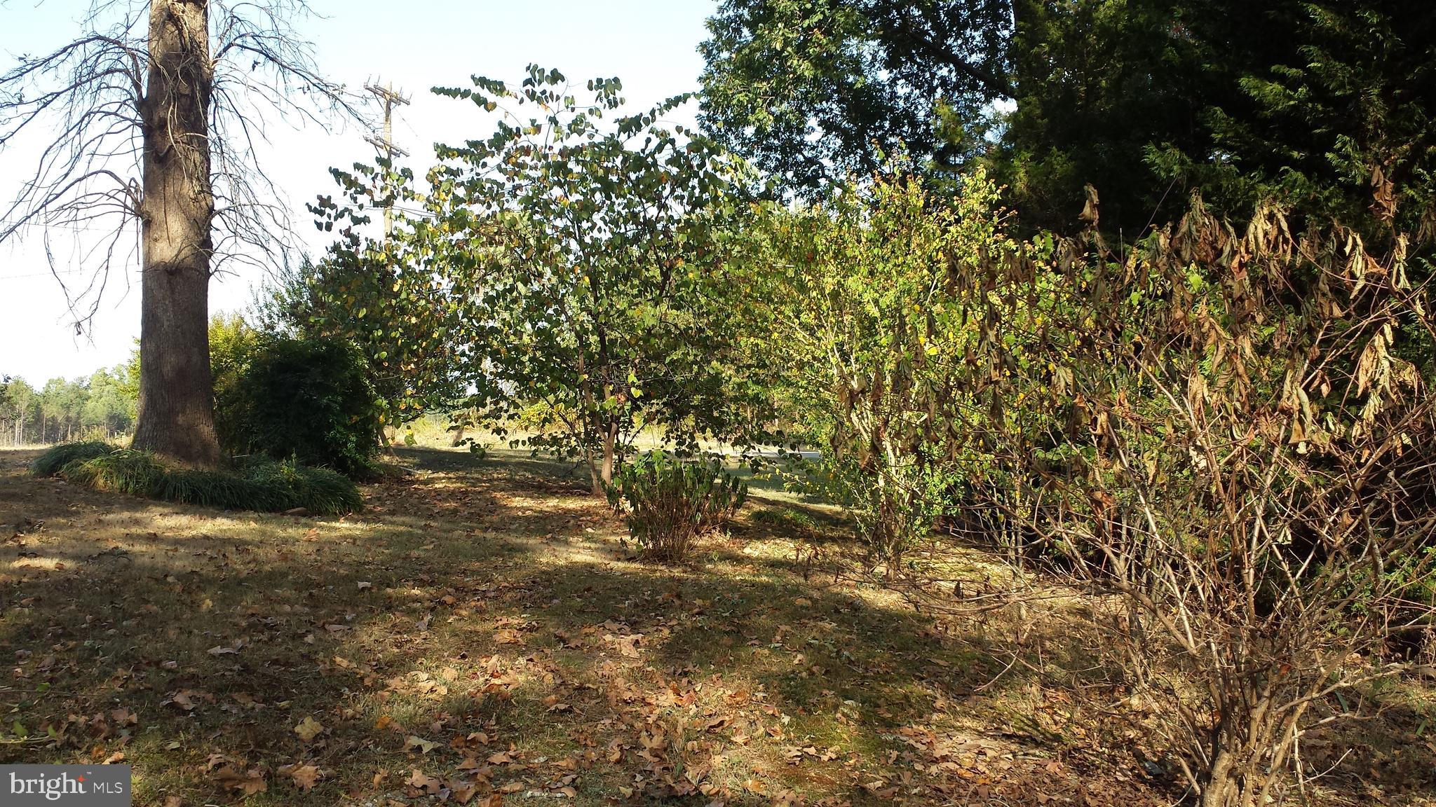 24206 Ruther Glen Road Ruther Glen, VA 22546 - Photo 28 of 52 Gallery Image 28