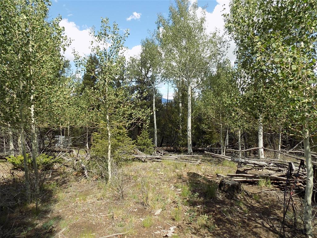 1923 Blacksmith Road Hartsel, CO 80449 - Photo 1 of 11 Gallery Image 1
