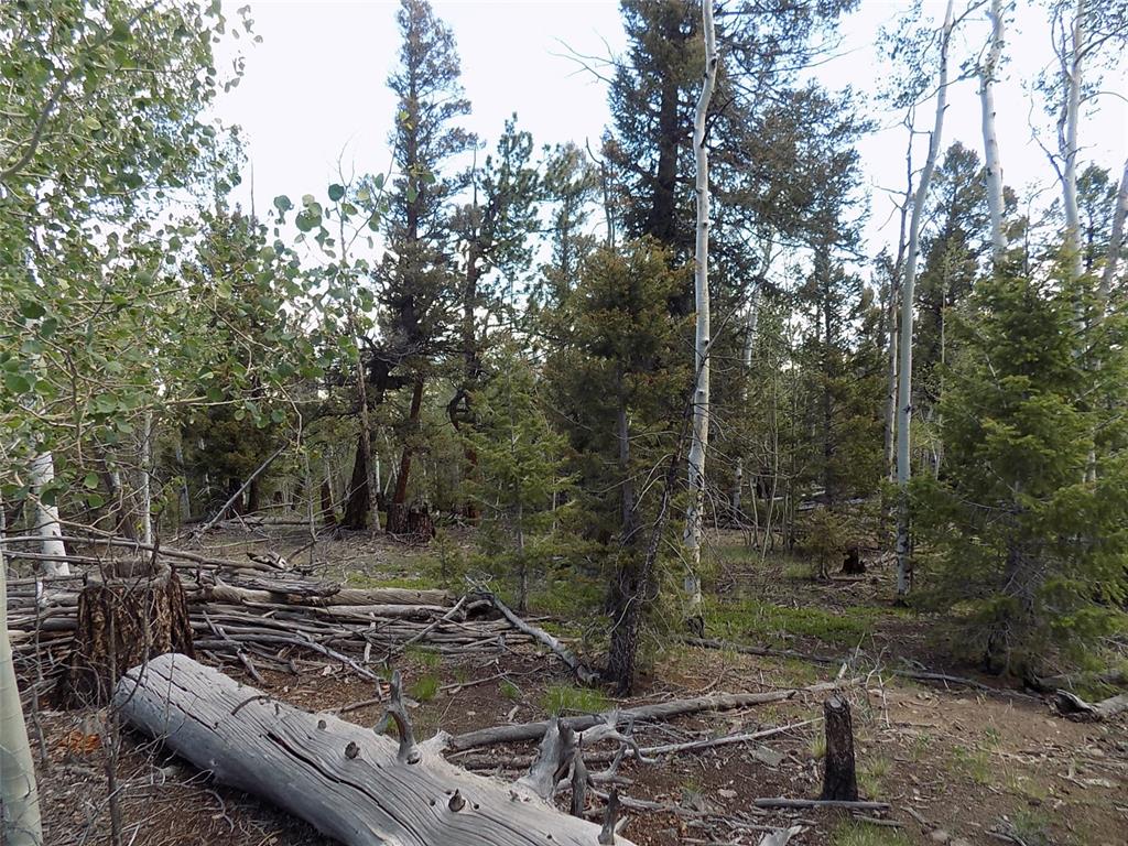 1923 Blacksmith Road Hartsel, CO 80449 - Photo 3 of 11 Gallery Image 3