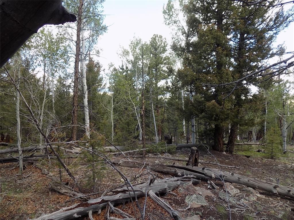 1923 Blacksmith Road Hartsel, CO 80449 - Photo 5 of 11 Gallery Image 5