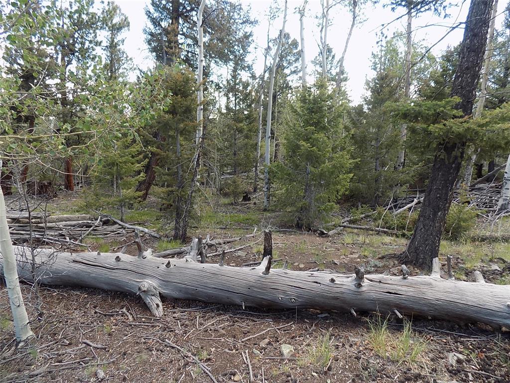 1923 Blacksmith Road Hartsel, CO 80449 - Photo 6 of 11 Gallery Image 6