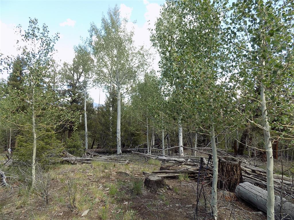 1923 Blacksmith Road Hartsel, CO 80449 - Photo 7 of 11 Gallery Image 7