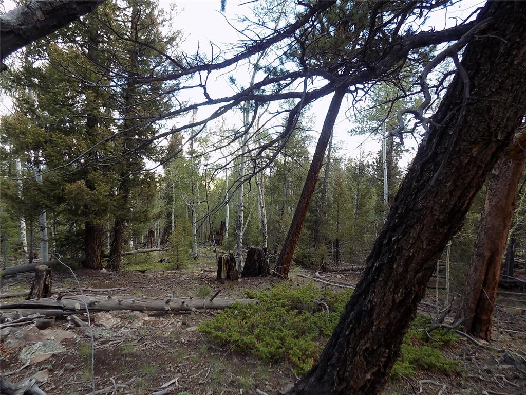 1923 Blacksmith Road Hartsel, CO 80449 - Photo 8 of 11 Gallery Image 8