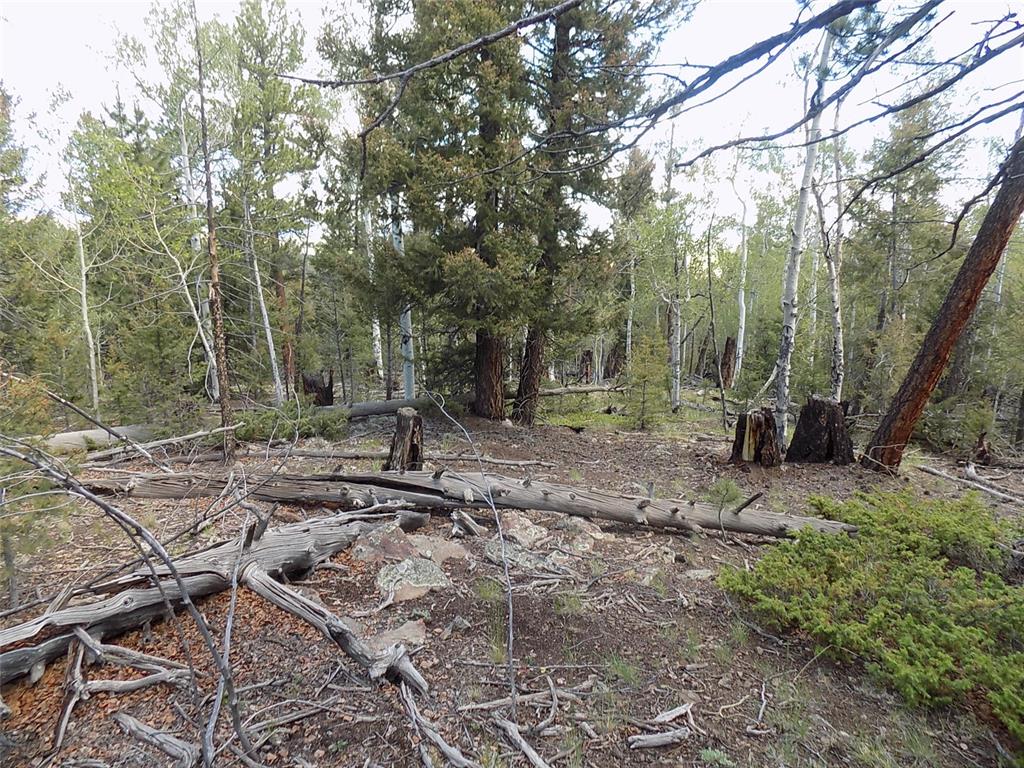 1923 Blacksmith Road Hartsel, CO 80449 - Photo 9 of 11 Gallery Image 9