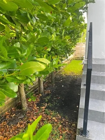 a view of a yard