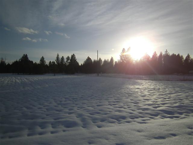 41602 North Frantz Road Elk, WA 99009 - Photo 4 of 8