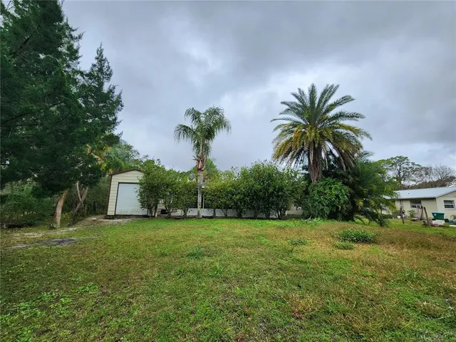a palm tree sitting in front of a house with a big yard