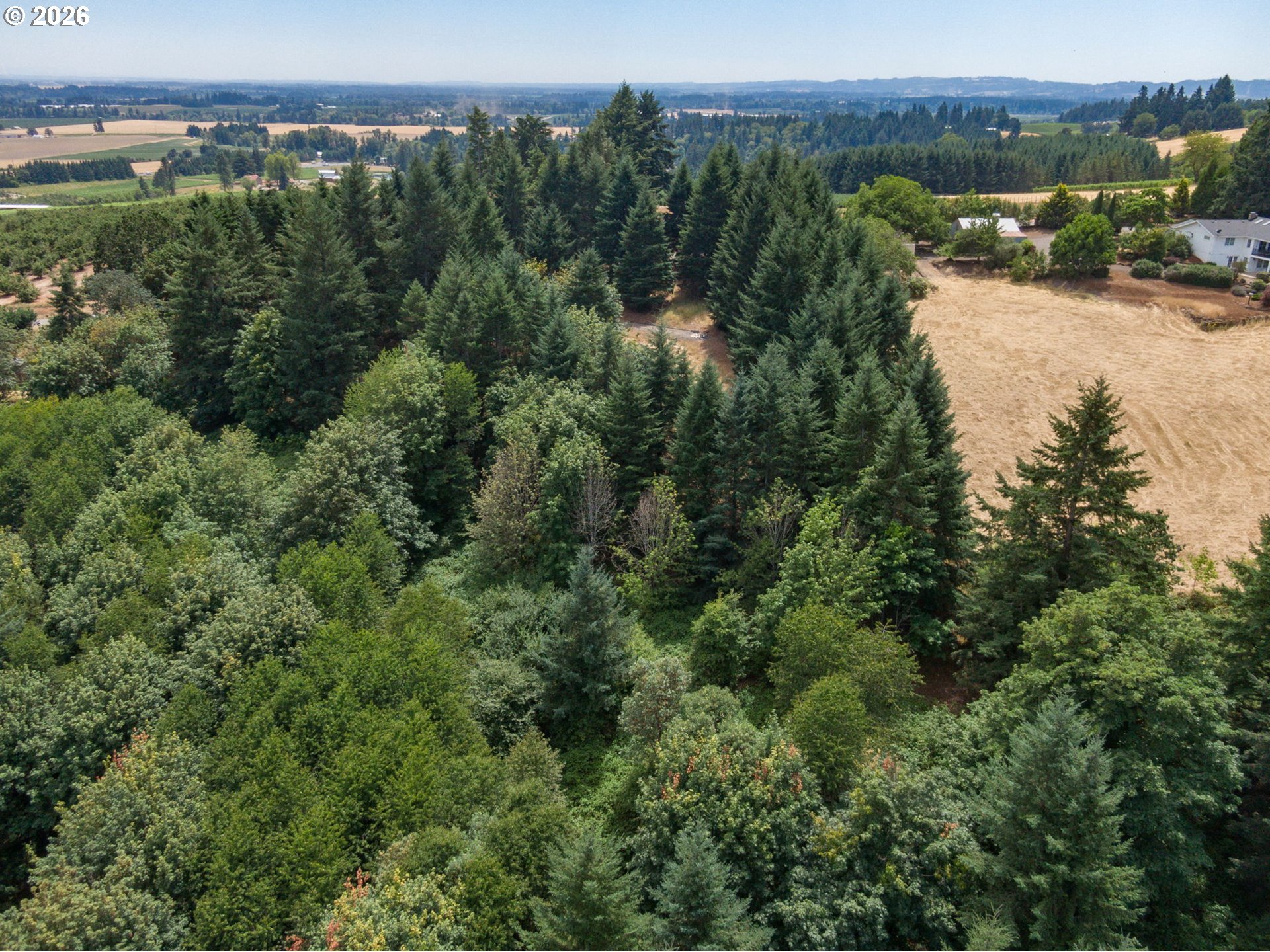 19601 Northeast Trunk Road Dundee, OR 97115 - Photo 13 of 16 an aerial view of a houses with a yard and lake view