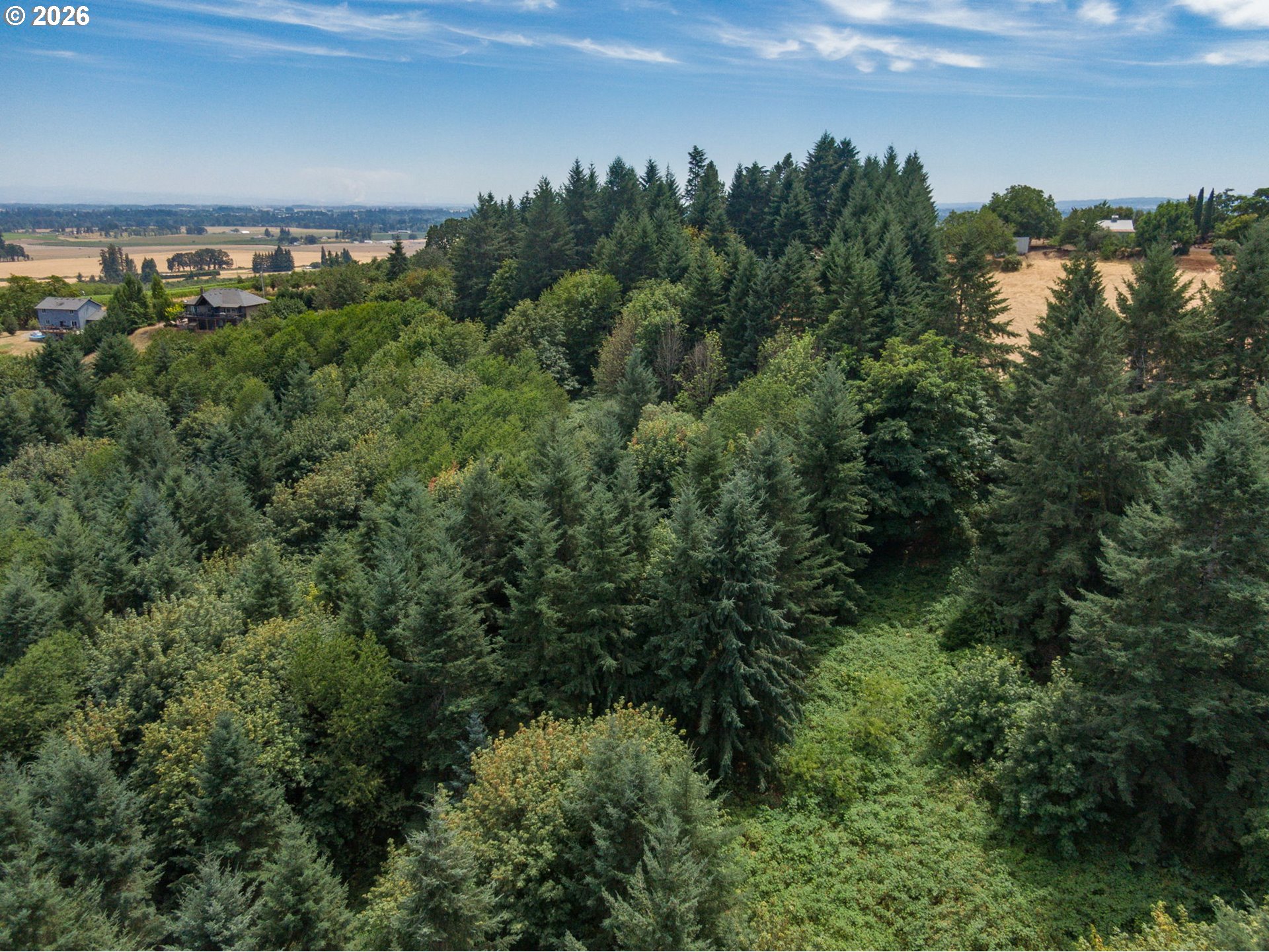 19601 Northeast Trunk Road Dundee, OR 97115 - Photo 14 of 16 a view of a bunch of trees